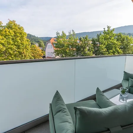 公寓 Schmuckstueck Ferienapartments 博登迈斯